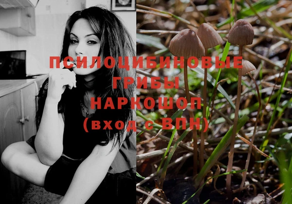 гидра Зеленокумск
