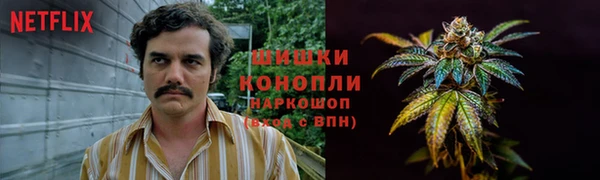 гидра Зеленокумск
