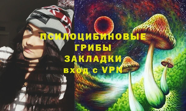 spice Зерноград