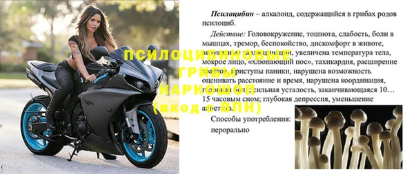 spice Зерноград