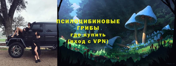 гидра Зеленокумск