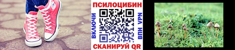 Галлюциногенные грибы ЛСД  Купить закладки  Котельнич 